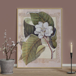 Södra Elegance Vintage Botanical Magnolia Poster