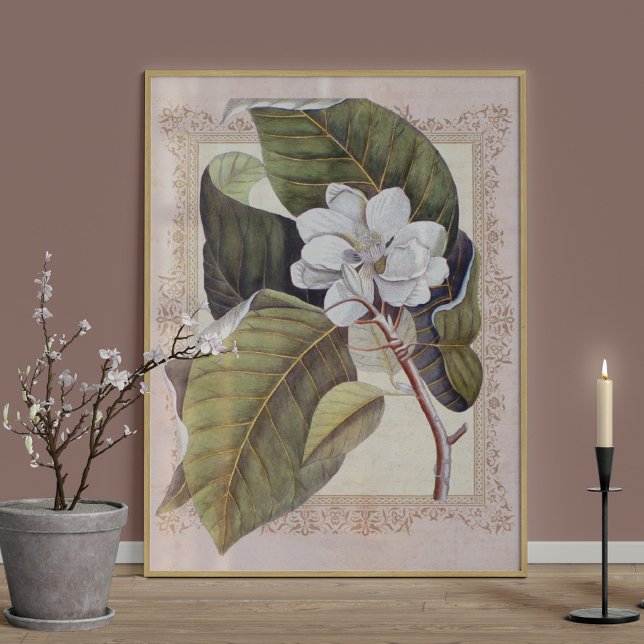 Södra Elegance Vintage Botanical Magnolia Poster (Skapare uppladdad)
