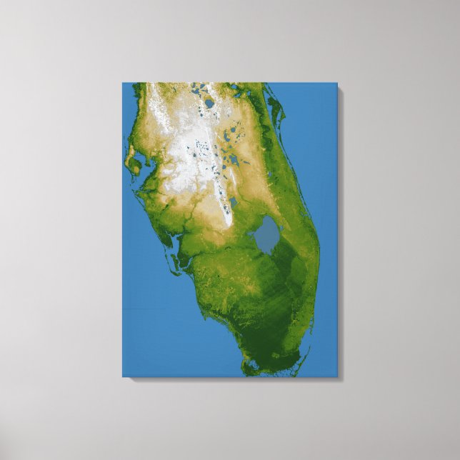 Södra Florida Canvastryck (Framsida)
