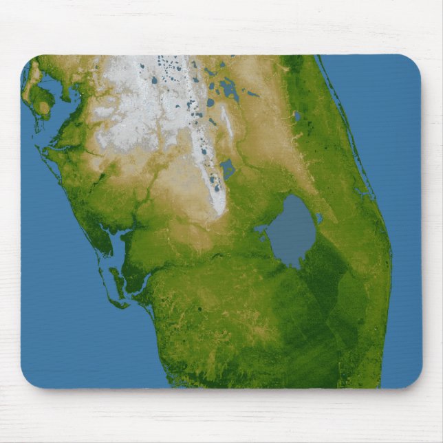 Södra Florida Musmatta (Framsidan)
