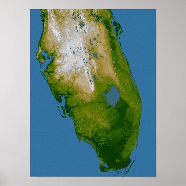 Södra Florida Poster (Framsidan)