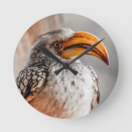 Södra Gulten Billed Hornbill Rund Klocka
