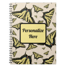 Södra Gulten Svettsmusslor överallt