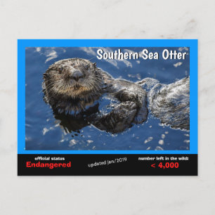 Södra havet Otter är en utrotningshotad art 5 - Helg Vykort