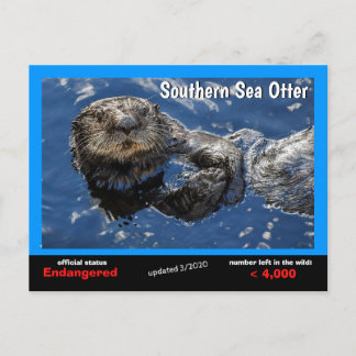 Södra havet Otter är utrotningshotad art 3/2020- Helg Vykort
