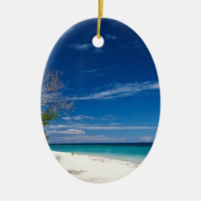 Södra havsöstrand, Fiji Julgransprydnad Keramik (Framsidan)