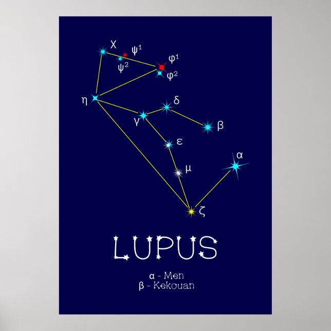 Södra Hemisphere Constellation Lupus Poster (Framsidan)