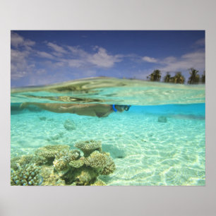 Södra Huvadhoo-atollen, södra Maldiverna, Indiska Poster