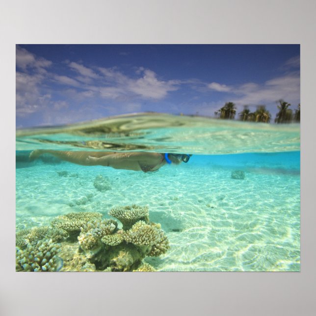 Södra Huvadhoo-atollen, södra Maldiverna, Indiska  Poster (Framsidan)