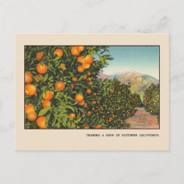 Södra Kalifornien Orange Grove Vintage Linne Vykort
