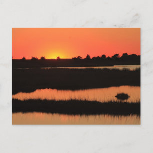 Södra Kap Beach Marshes vid Sunset Mashpee Cape Co Vykort