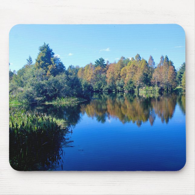 Södra Lake Howard Musmatta (Framsidan)