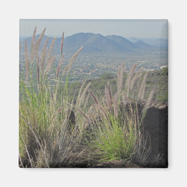 Södra landskapets foto-avsides berg magnet (Framsidan)