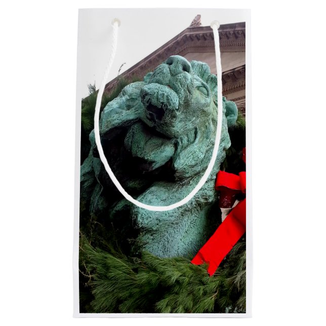 Södra Lejona vid Art Institute of Chicago (Framsidan)