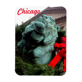 Södra Lejona vid Art Institute of Chicago Magnet