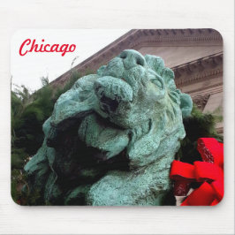 Södra Lejona vid Art Institute of Chicago Musmatta