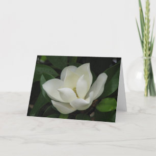 Södra Magnolia Bloom Kort