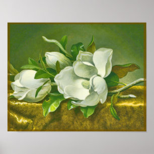 Södra Magnolia Flower Poster