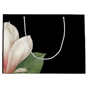 Södra Magnolia Flower Rosa White Black