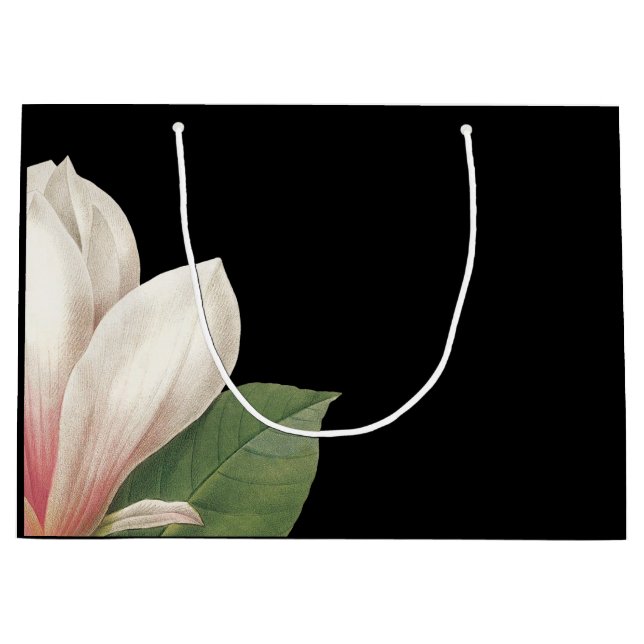Södra Magnolia Flower | Rosa White Black (Framsidan)