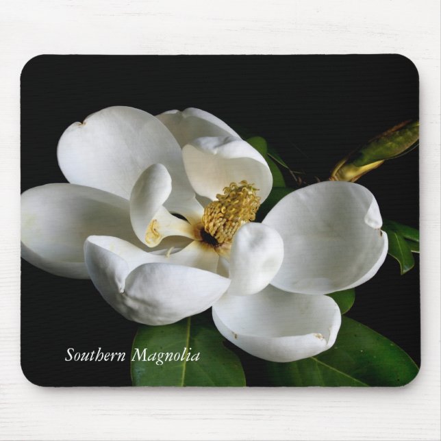 Södra Magnolia Musmatta (Framsidan)