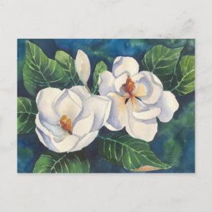Södra Magnolias Vykort