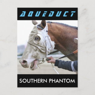 Södra Phantom Vykort