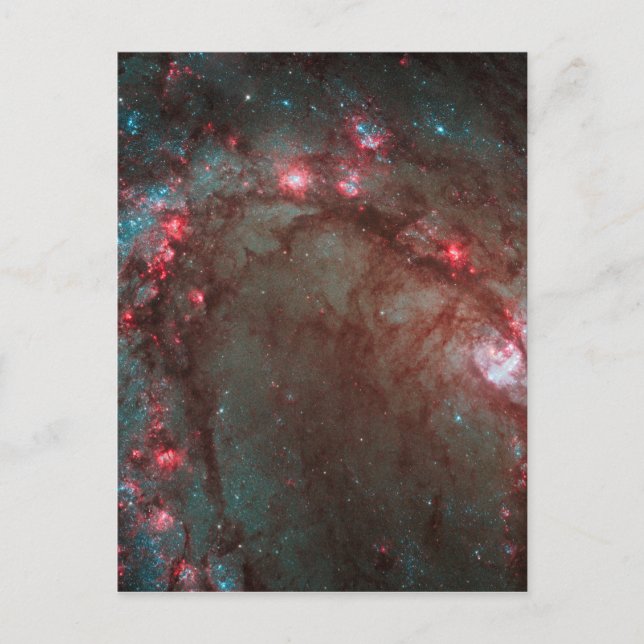 Södra Pinhjul Vykort (Framsida)