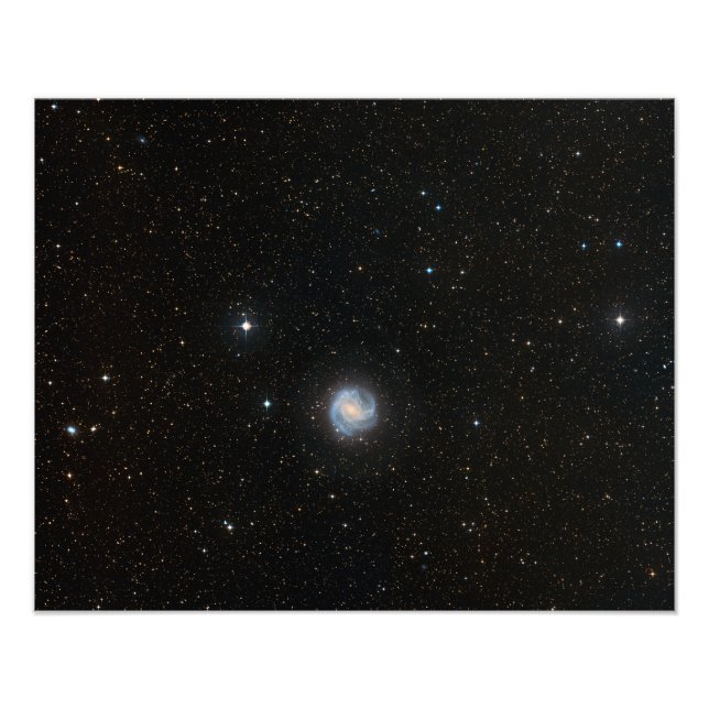 Södra PinWheel Galaxy Fototryck (Framsidan)
