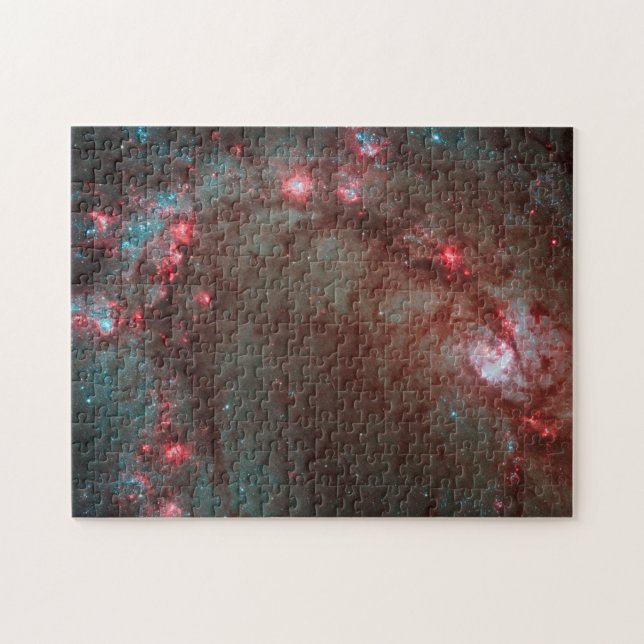 Södra PinWheel Puzzle Pussel (Horisontell)