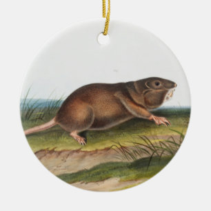 Södra Pouched Råtta, Shrew Mole Illustration Julgransprydnad Keramik
