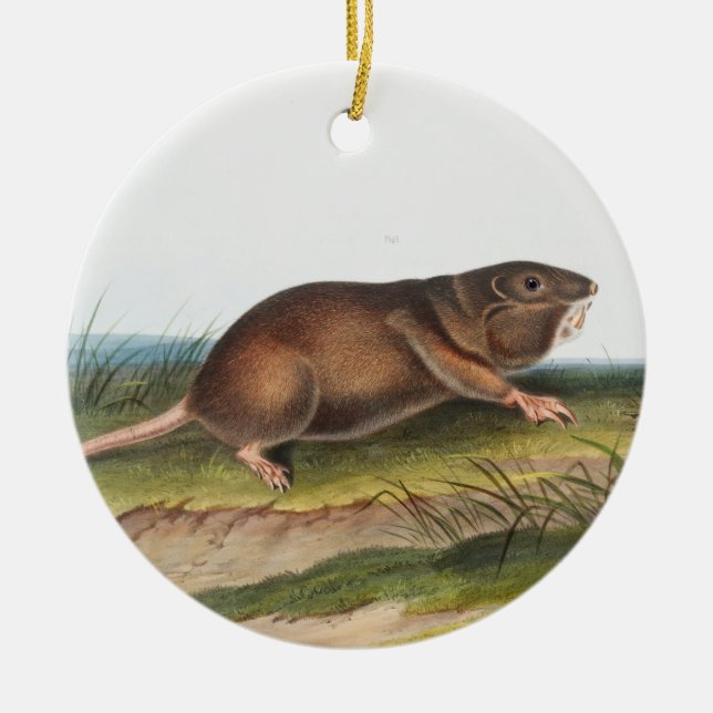 Södra Pouched Råtta, Shrew Mole Illustration Julgransprydnad Keramik (Framsidan)