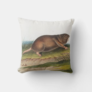 Södra Pouched Råtta, Shrew Mole Illustration Kudde