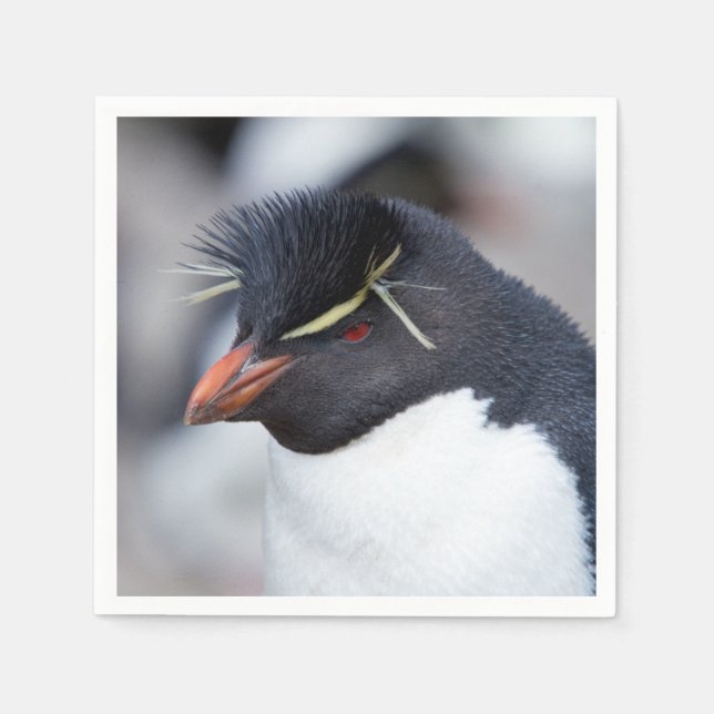 Södra Rockhopper Penguin Pappersservett (Framsidan)