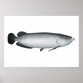 Södra Saratoga Poster