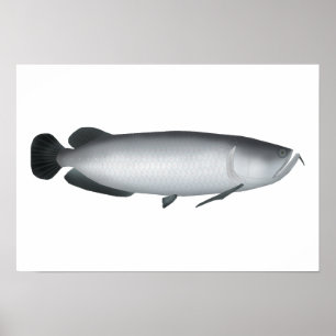 Södra Saratoga Poster