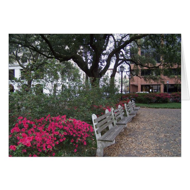 Södra sjukhus hälsningskort (Framsidan Horizontal)