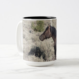 Södra Steens som förbisåg sitt band Två-Tonad Mugg