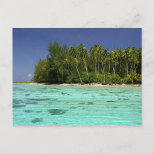 Södra Stilla havet, Fransk Polynesien, Moorea 2 Vykort