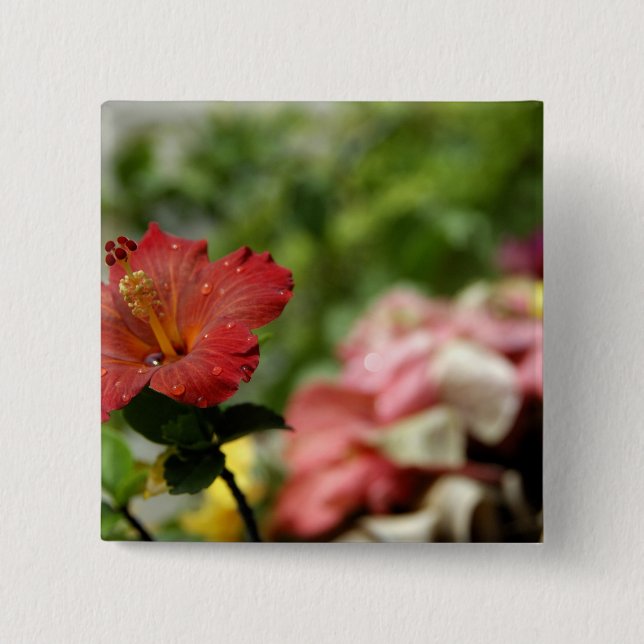 Södra Stilla havet, Fransk Polynesien, samhället 2 Knapp (Framsida)