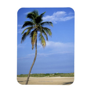 Södra strand, Miami Beach, Florida, USA Magnet