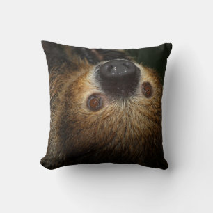 Södra tvåtoade Sloth Kudde