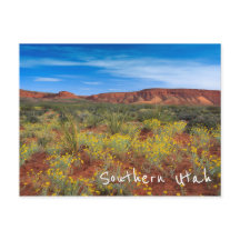 Södra Utah Wildblommor