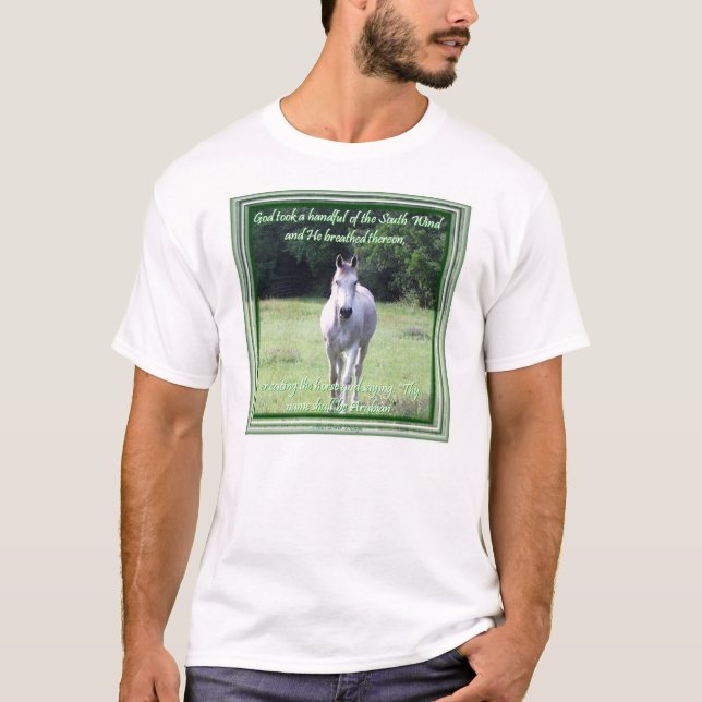 Södra vind t-shirt (Framsida)