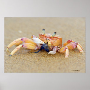 Sodwana fjärd, Kwazulu Natal landskap som är sö Poster