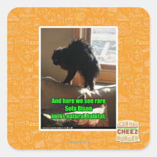 Soffa Bison Fyrkantigt Klistermärke