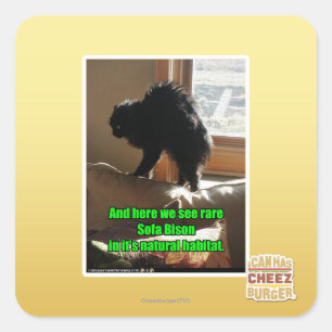 Soffa Bison Fyrkantigt Klistermärke