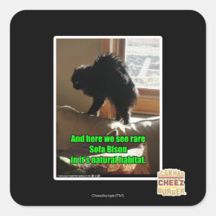 Soffa Bison Fyrkantigt Klistermärke