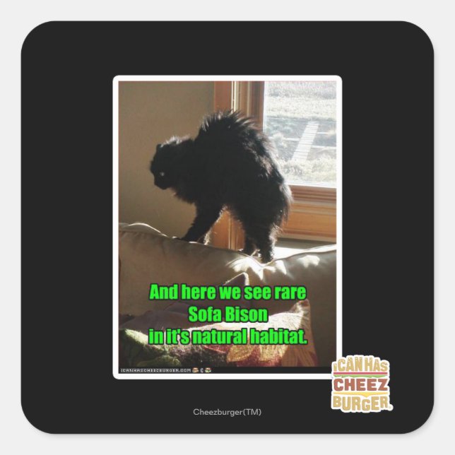 Soffa Bison Fyrkantigt Klistermärke (Framsida)