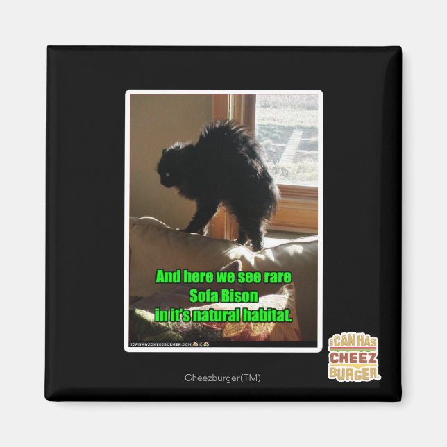 Soffa Bison Magnet (Framsidan)